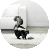 Неприятный запах